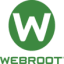 Webroot SecureAnywhere Business Endpoint Protection icon