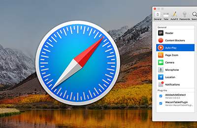 Safari Browser